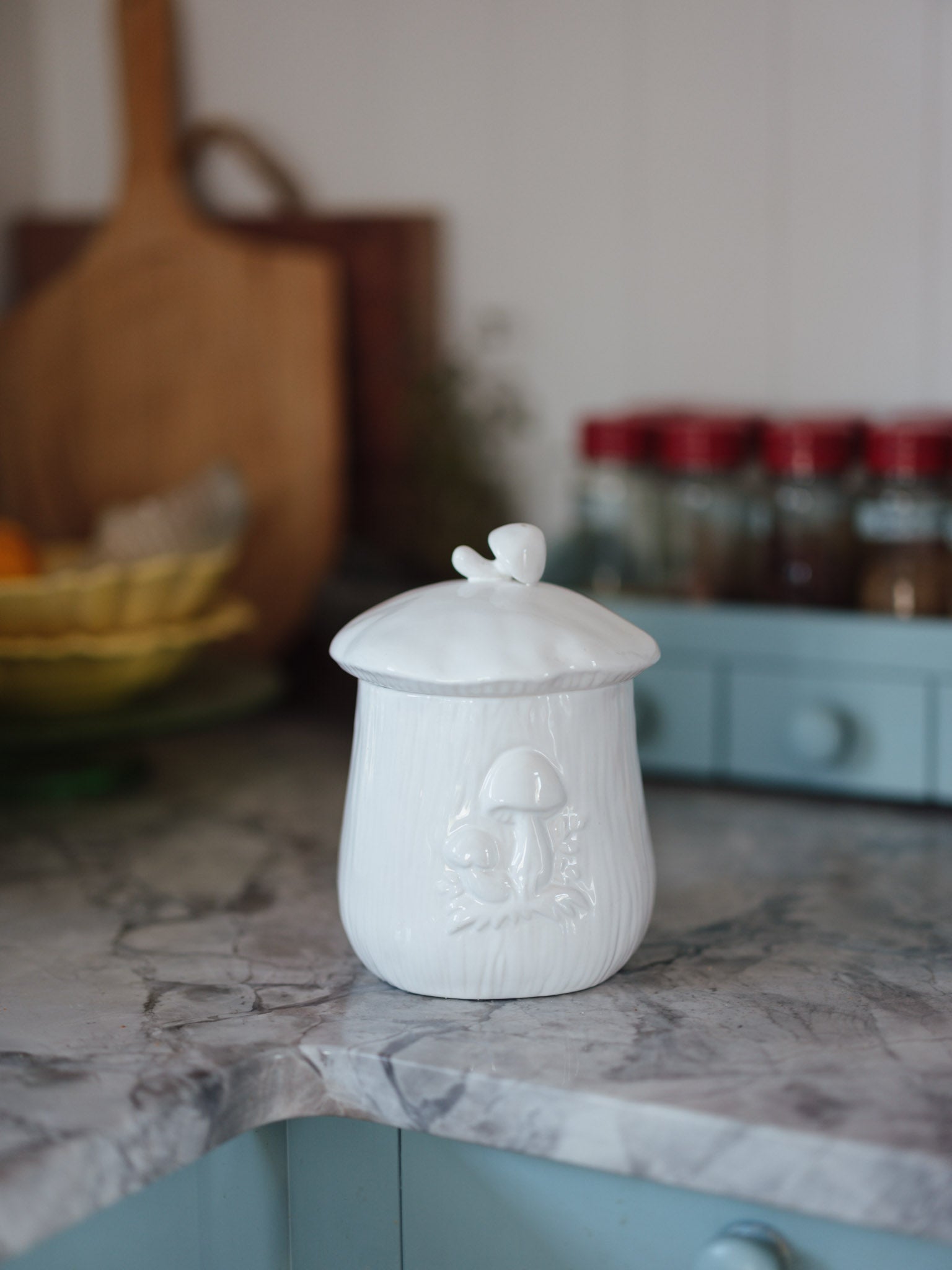 Cottagecore mushroom canister