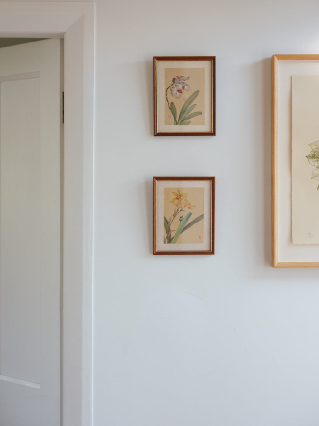 Framed Japanese Orchid Gouache Prints – Pair