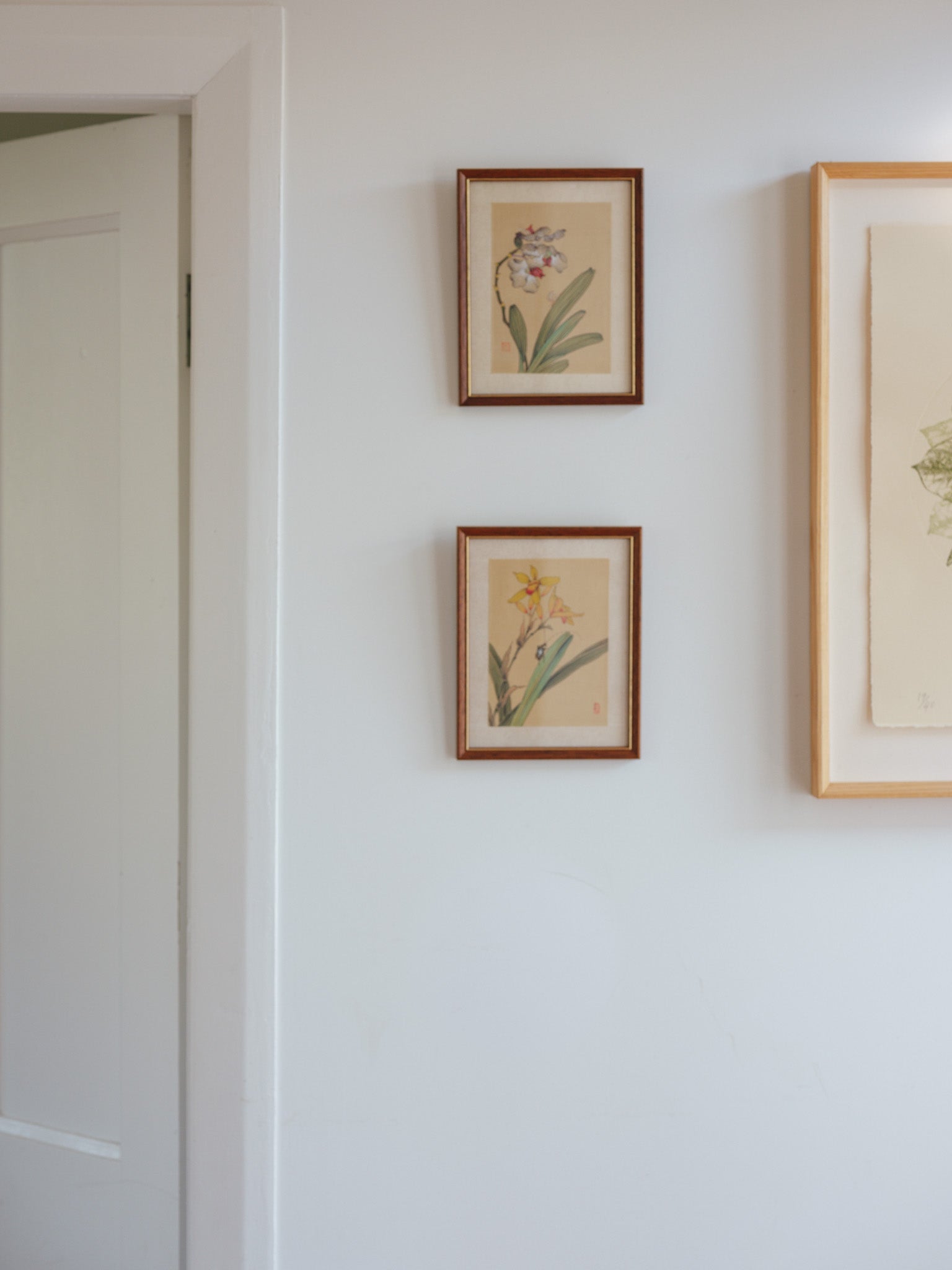 Framed Japanese Orchid Gouache Prints – Pair