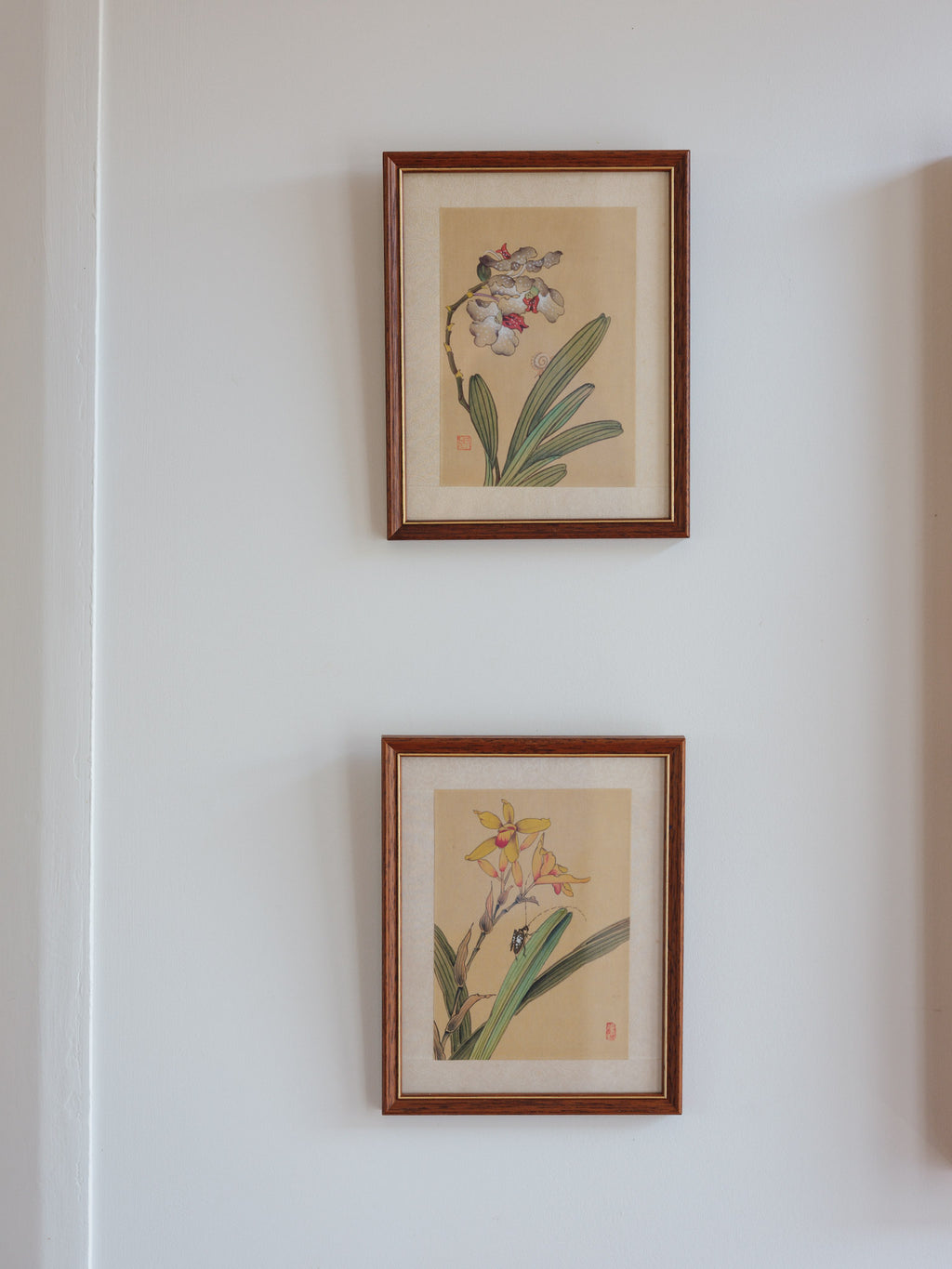Framed Japanese Orchid Gouache Prints – Pair