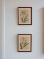Framed Japanese Orchid Gouache Prints – Pair