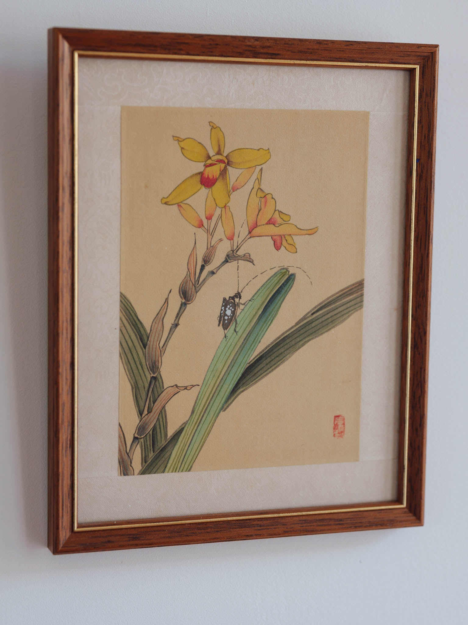 Framed Japanese Orchid Gouache Prints – Pair