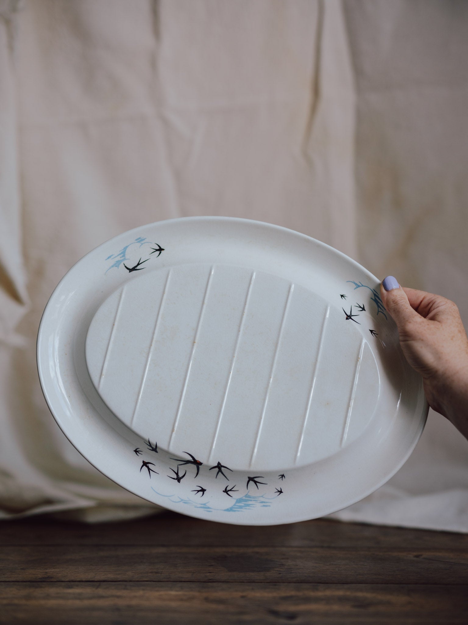 Palissy Ridged Meat Plate - Flight Pattern - 1950s