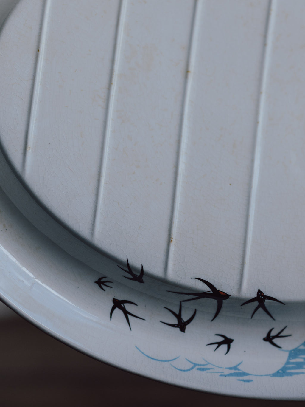 Palissy Ridged Meat Plate - Flight Pattern - 1950s