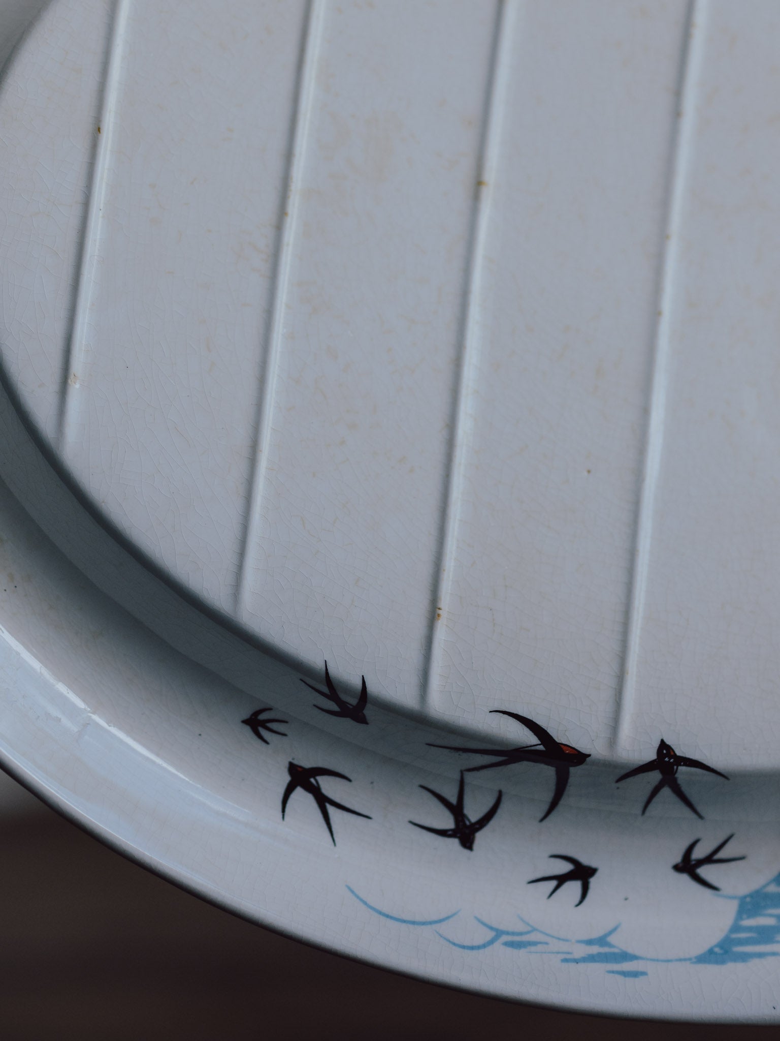 Palissy Ridged Meat Plate - Flight Pattern - 1950s