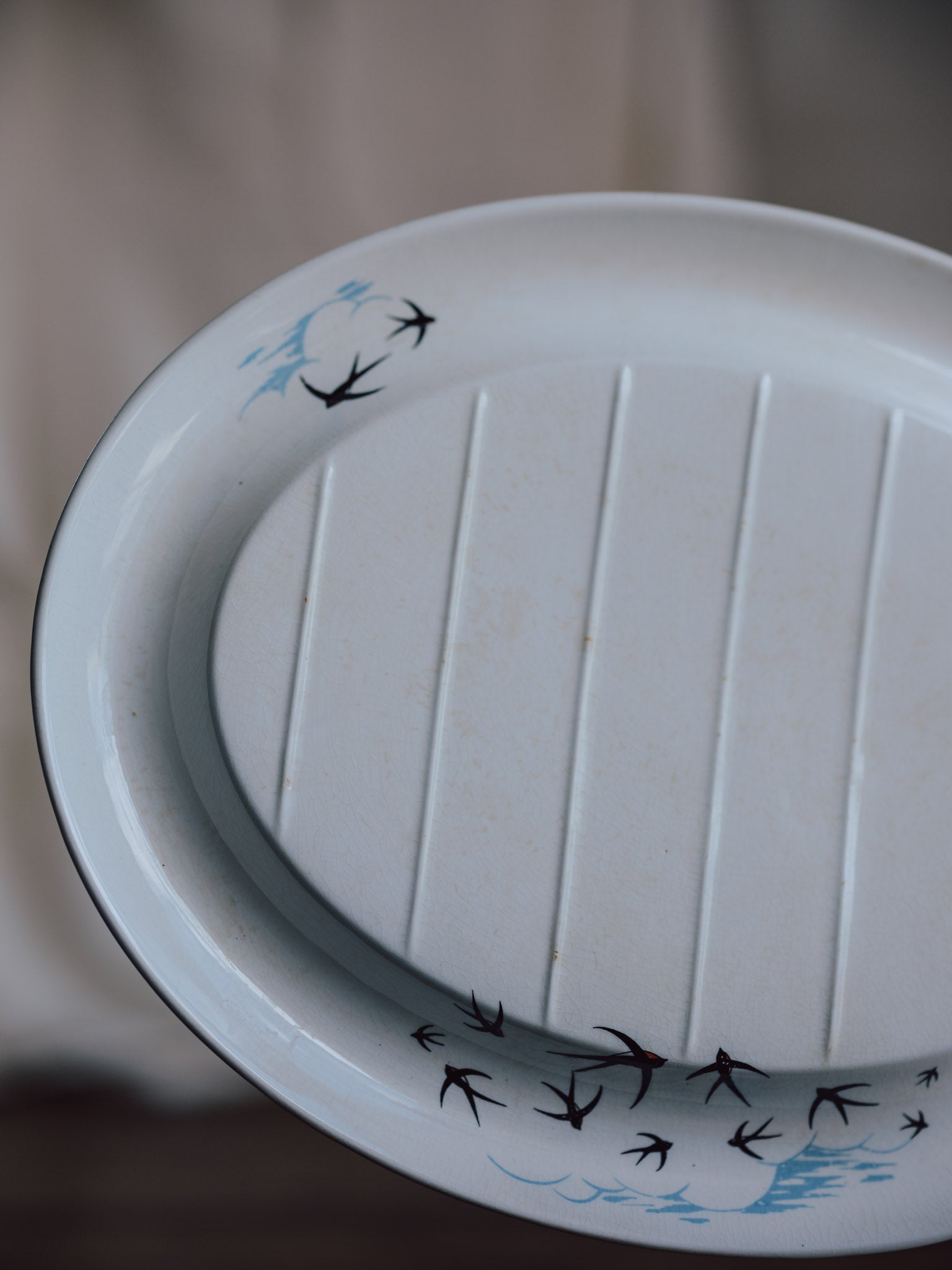 Palissy Ridged Meat Plate - Flight Pattern - 1950s