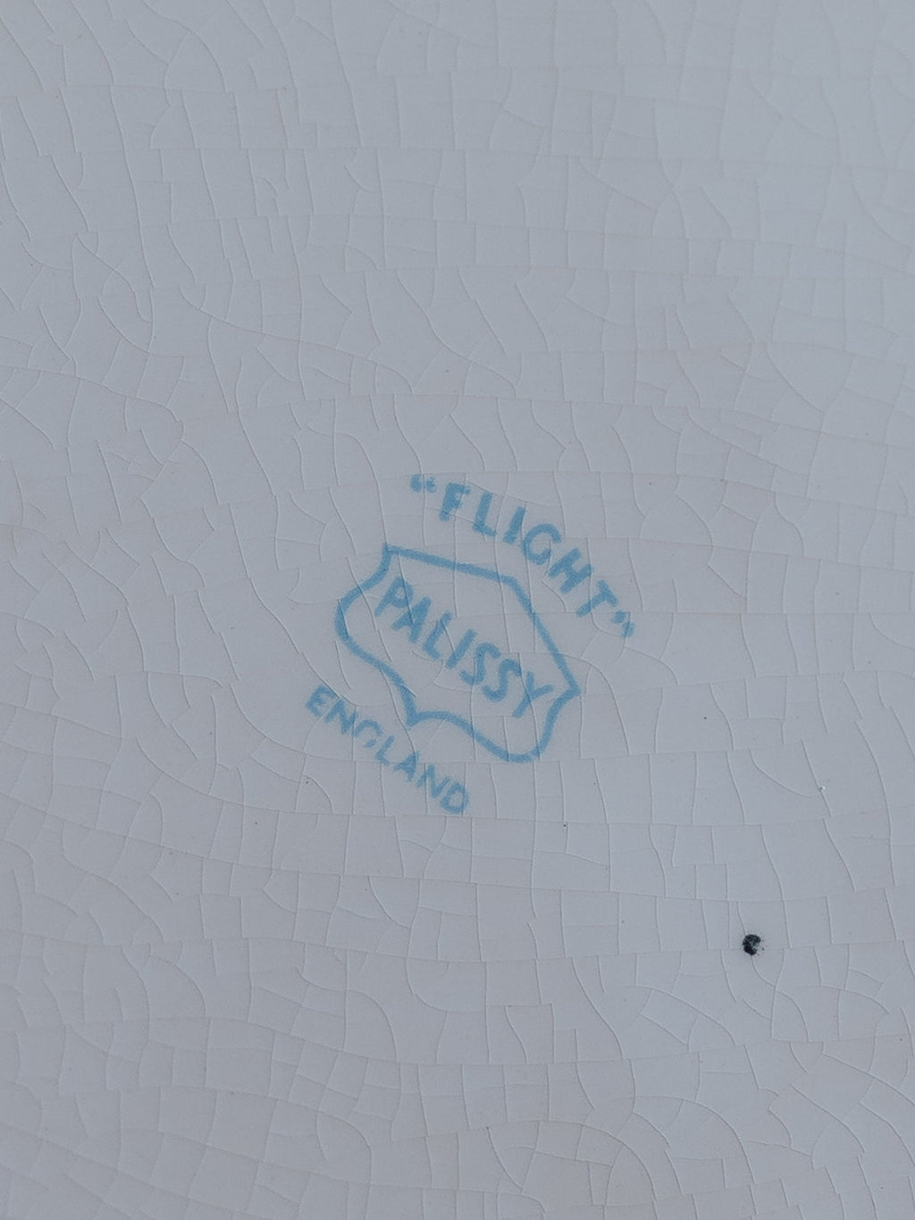 Palissy Ridged Meat Plate - Flight Pattern - 1950s