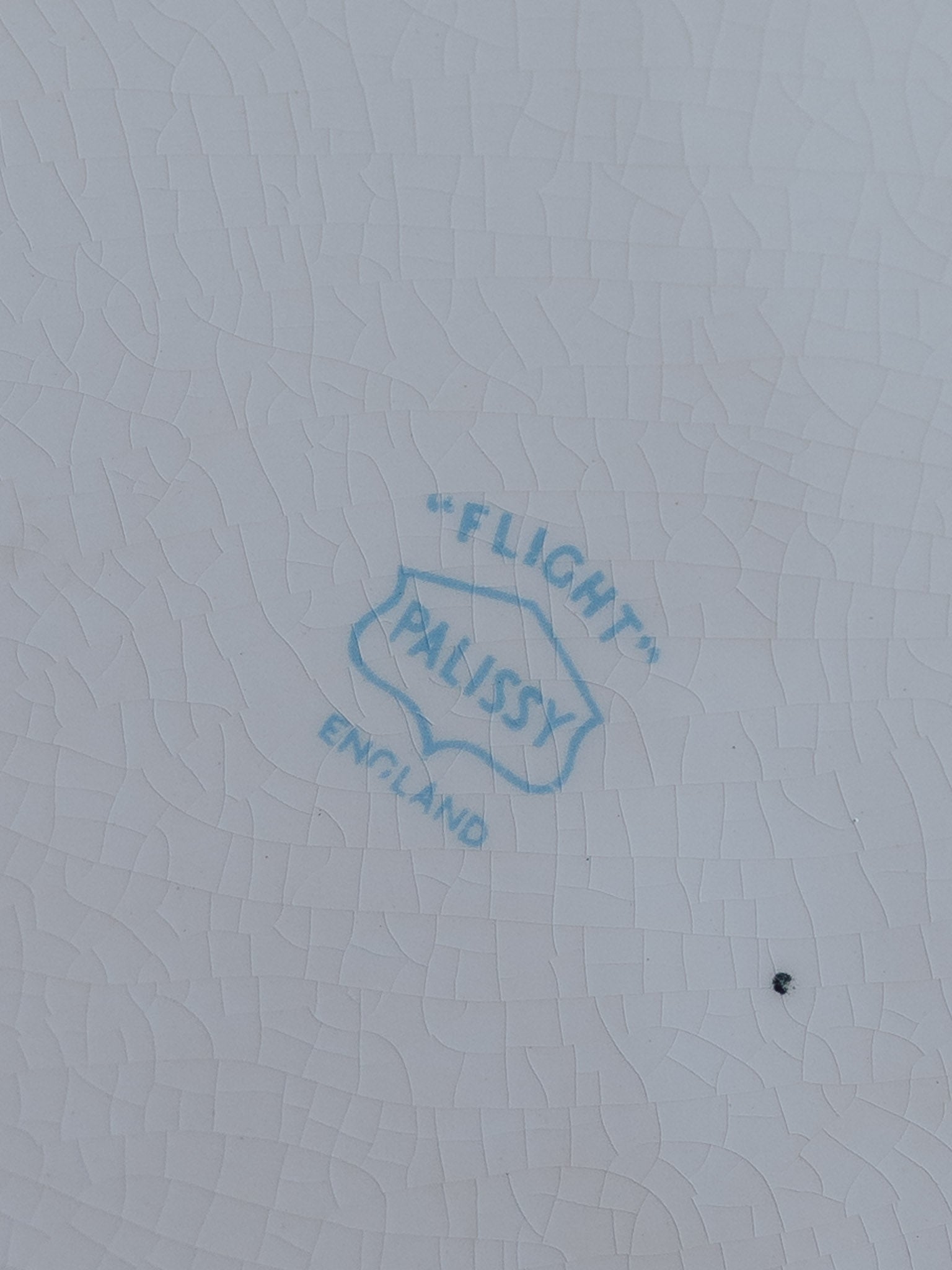 Palissy Ridged Meat Plate - Flight Pattern - 1950s