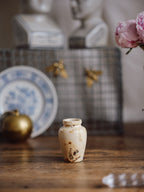 Antique Virol Ironstone Jar - “Preparation of Bone-Marrow”