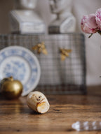 Antique Virol Ironstone Jar - “Preparation of Bone-Marrow”