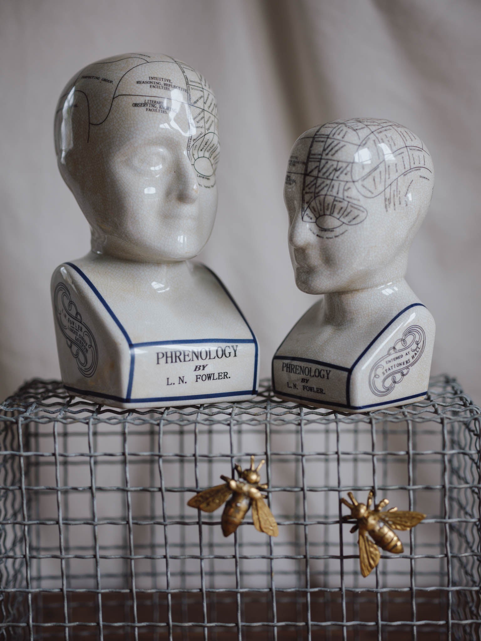 Phrenology Head Large