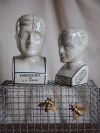 Phrenology Head Large
