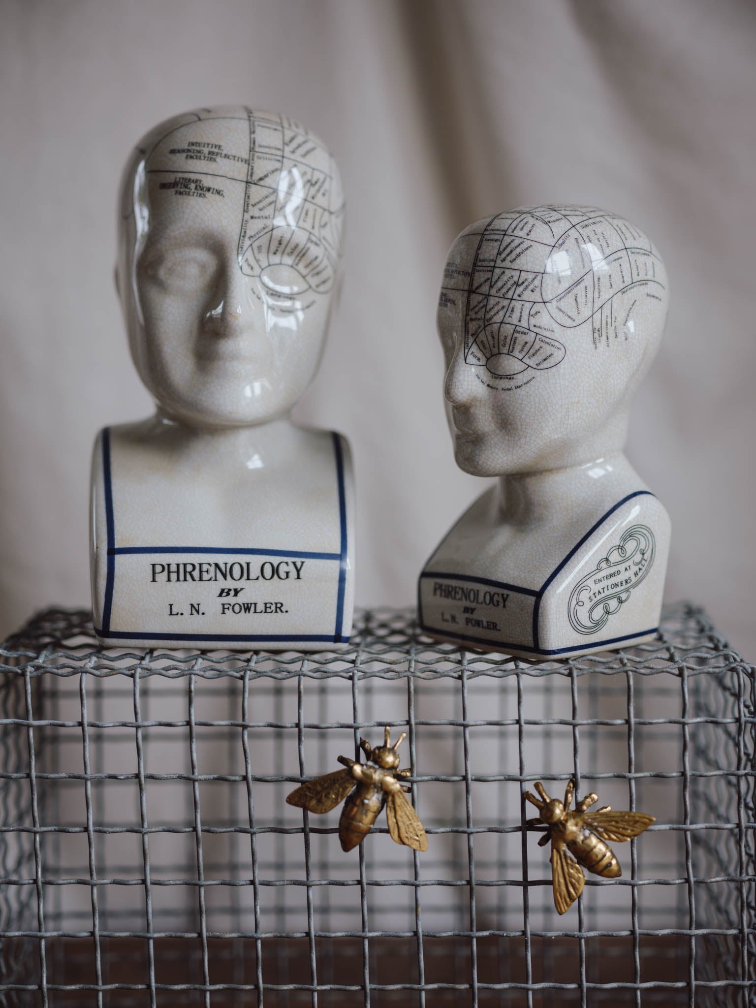 Phrenology Head Large