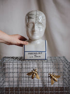 Phrenology Head Large