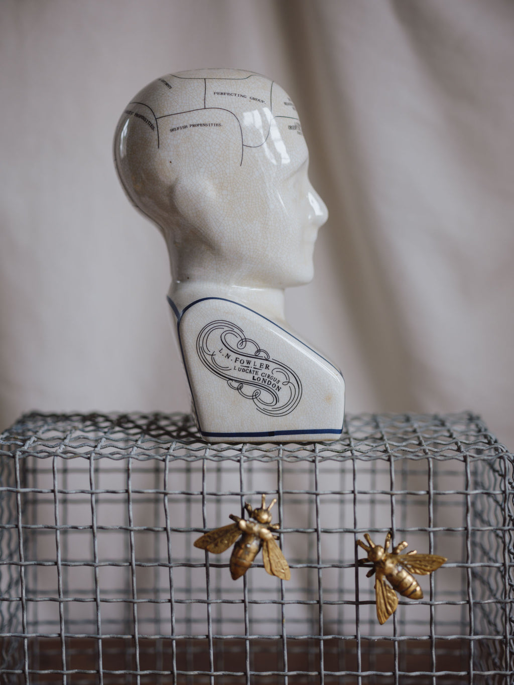 Phrenology Head Large