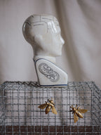 Phrenology Head Large