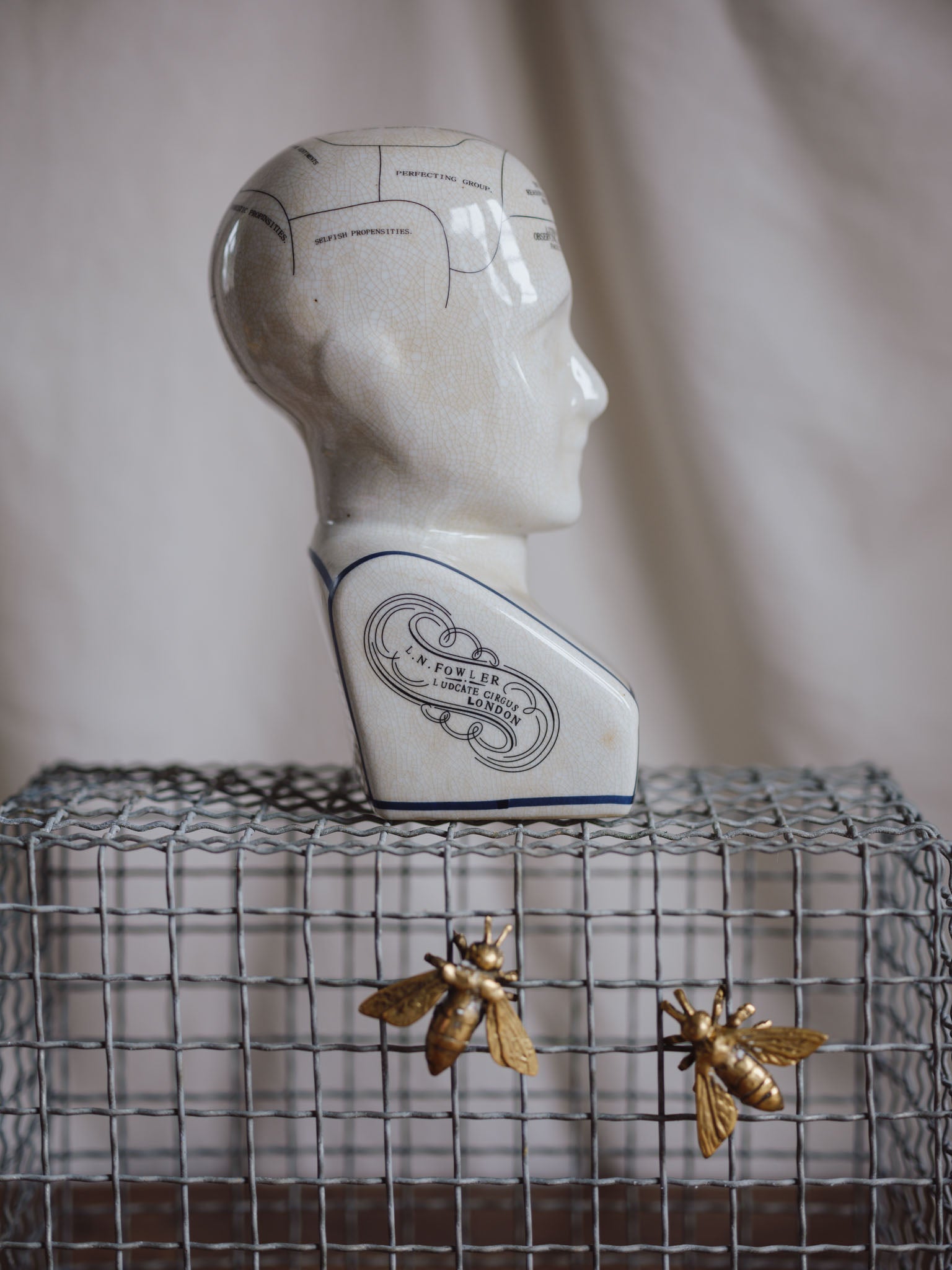 Phrenology Head Large