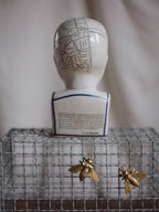 Phrenology Head Large