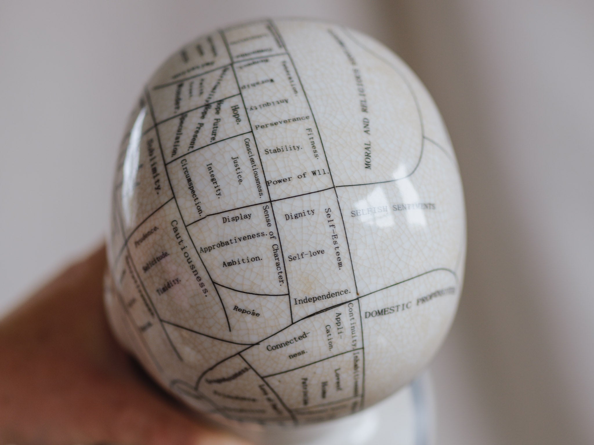 Phrenology Head Large