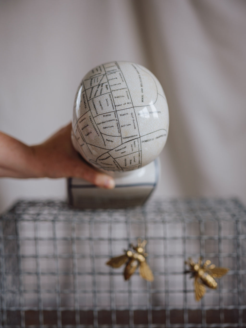 Phrenology Head Large