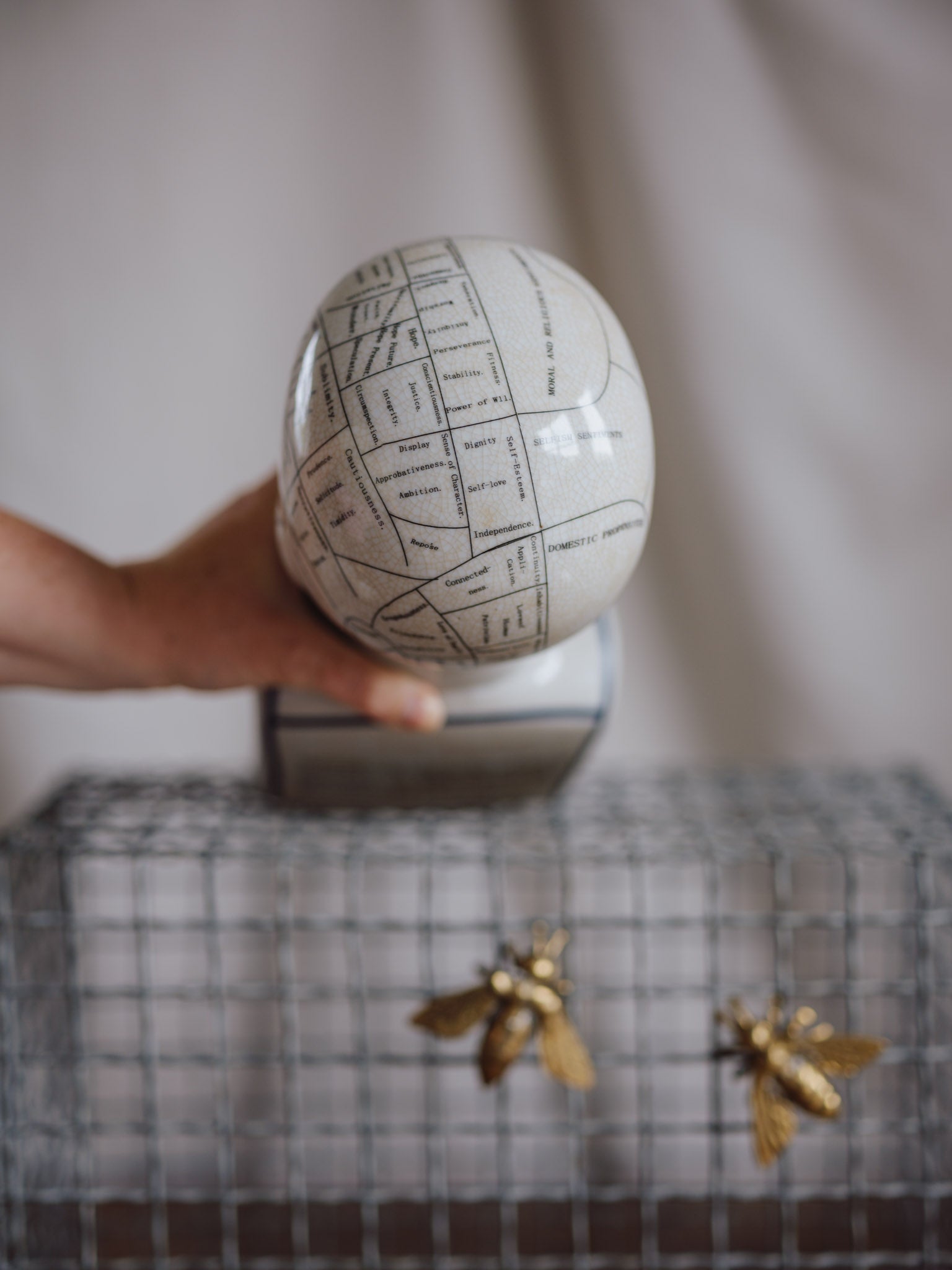 Phrenology Head Large