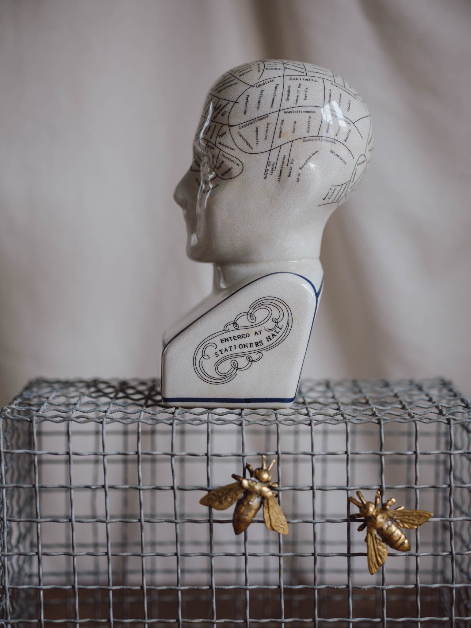 Phrenology Head Large