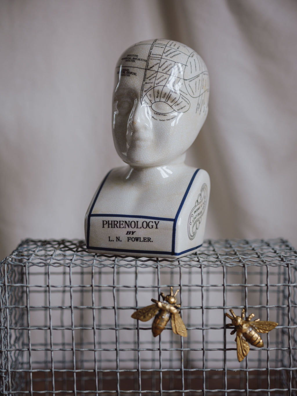 Phrenology Head Large
