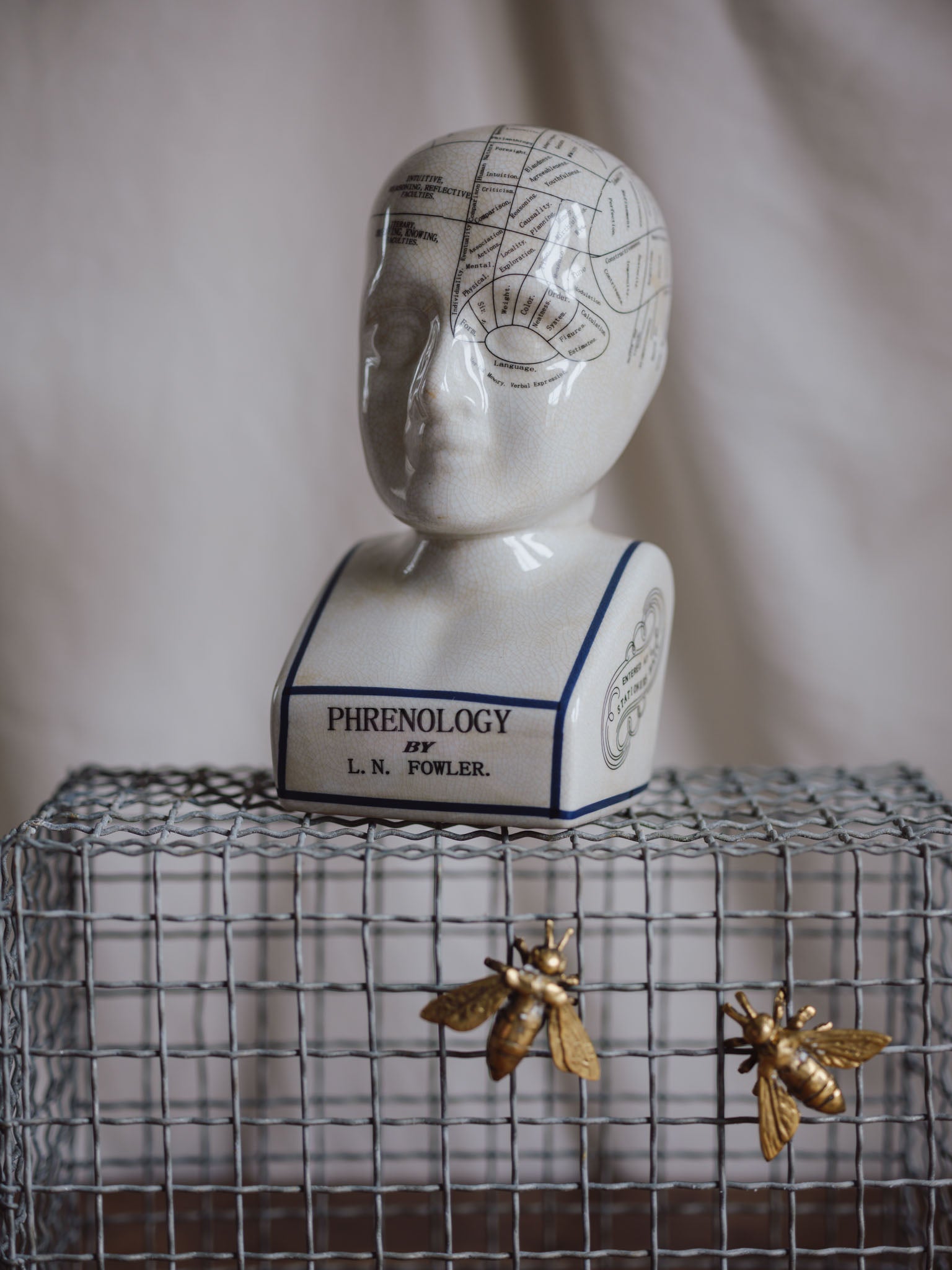 Phrenology Head Large