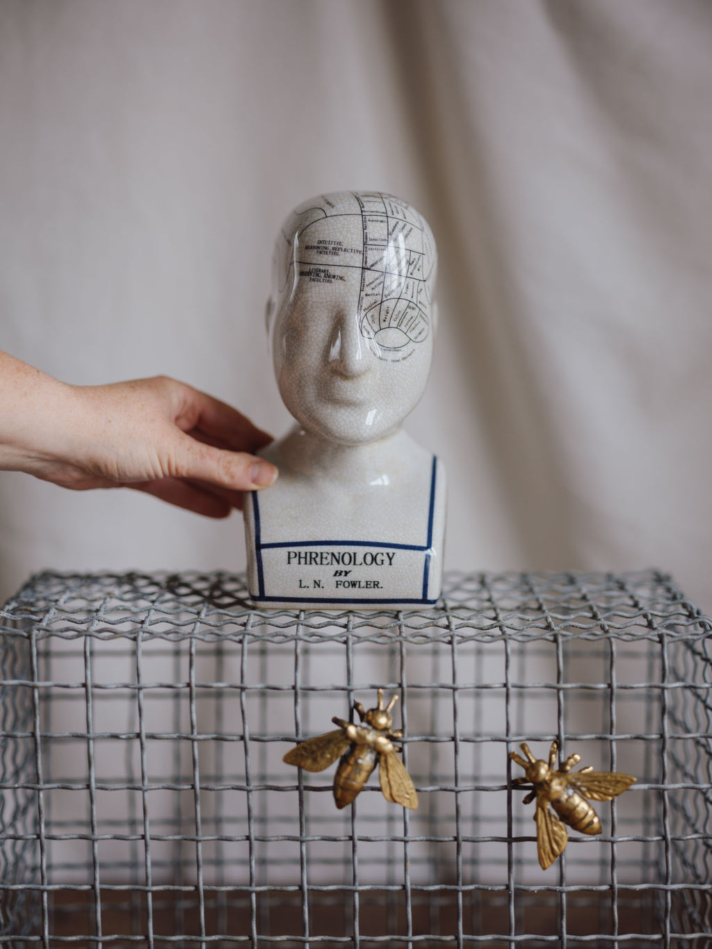 Phrenology Head Medium