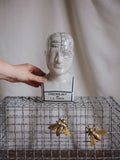 Phrenology Head Medium