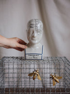 Phrenology Head Medium
