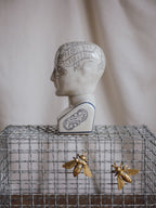Phrenology Head Medium