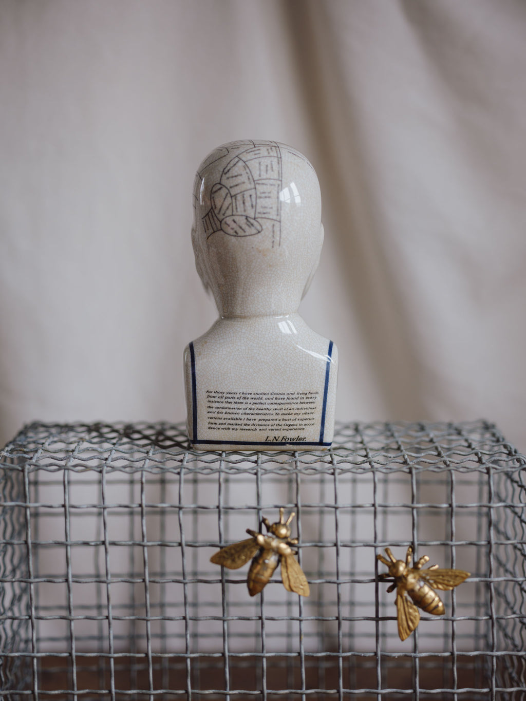 Phrenology Head Medium