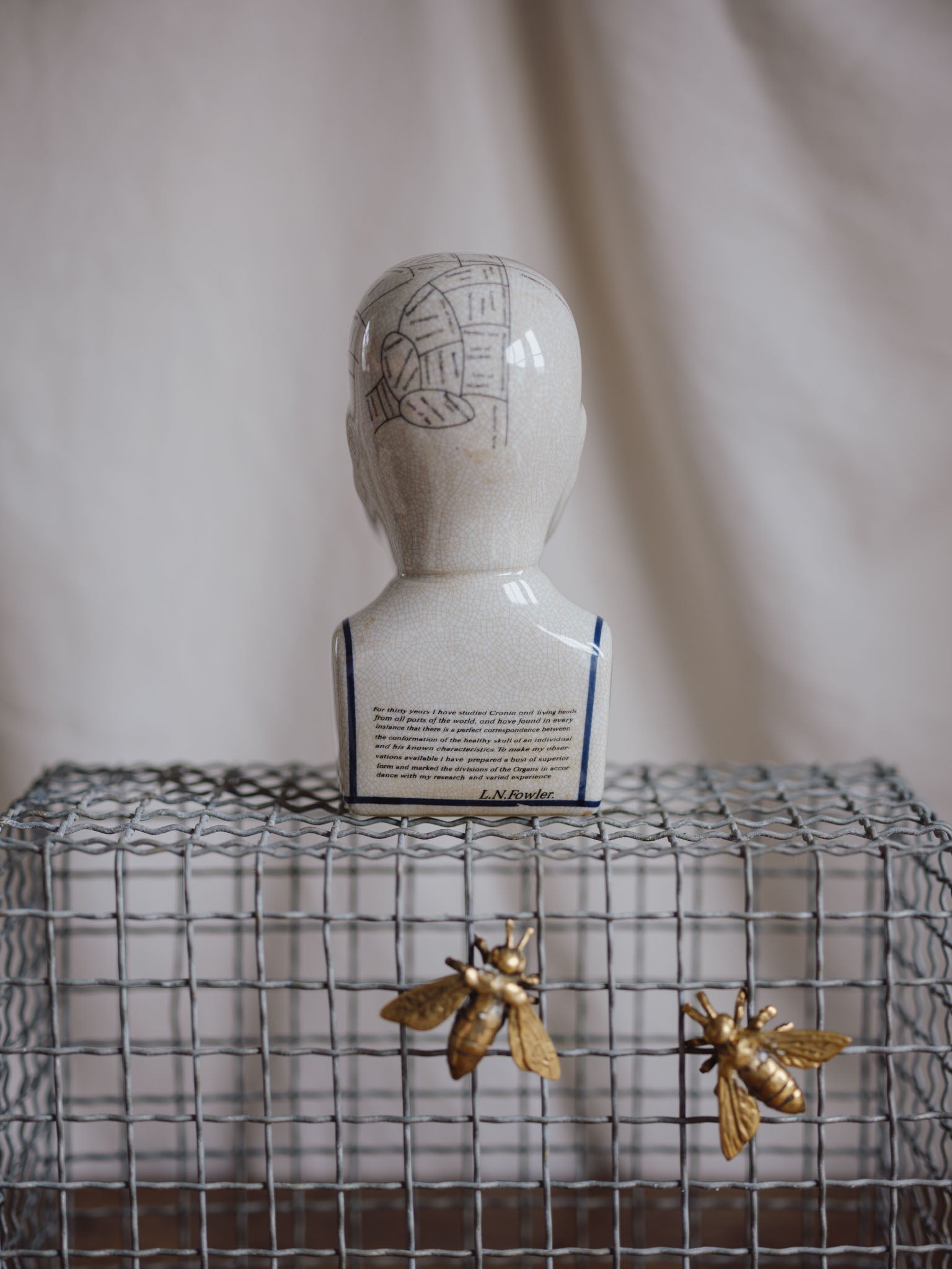 Phrenology Head Medium