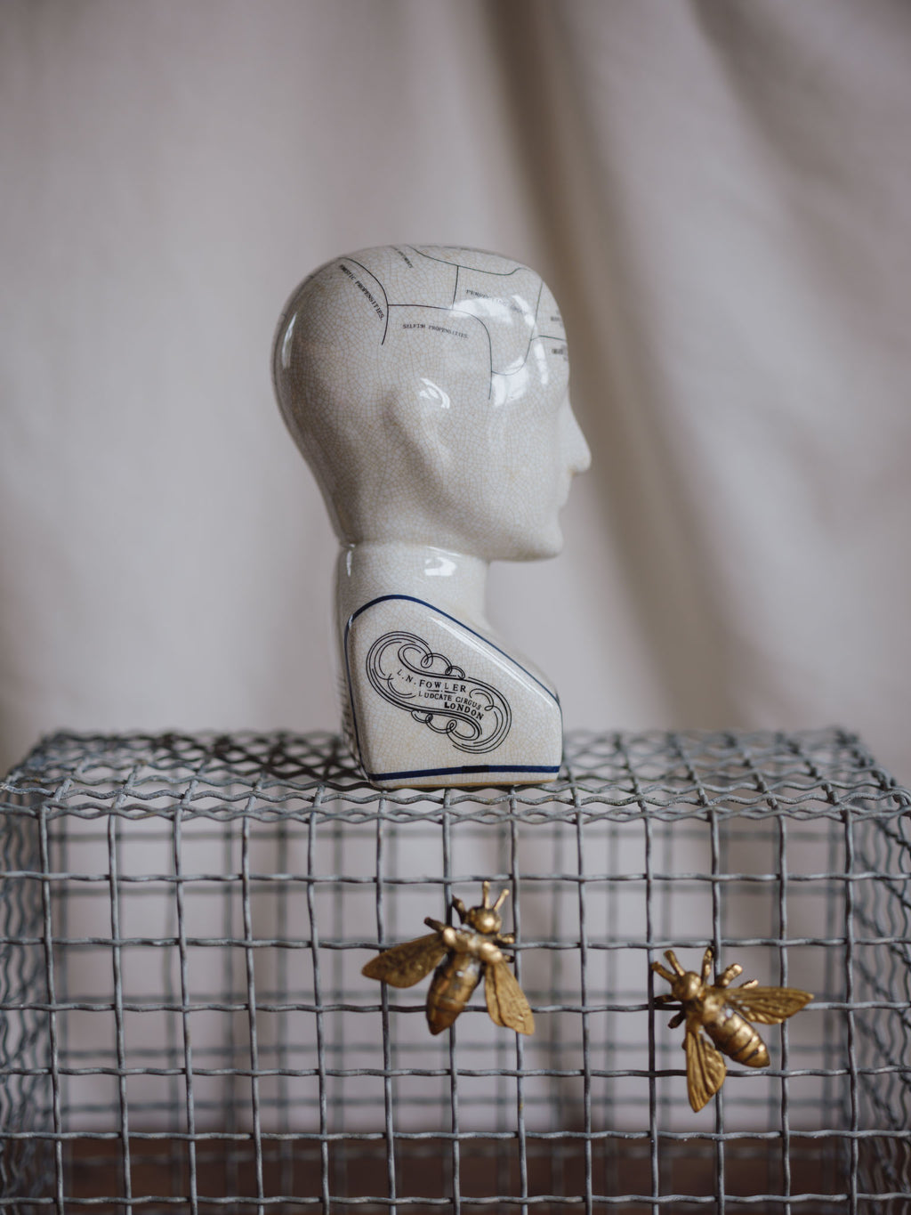 Phrenology Head Medium
