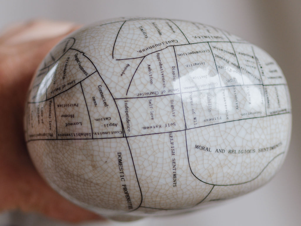 Phrenology Head Medium