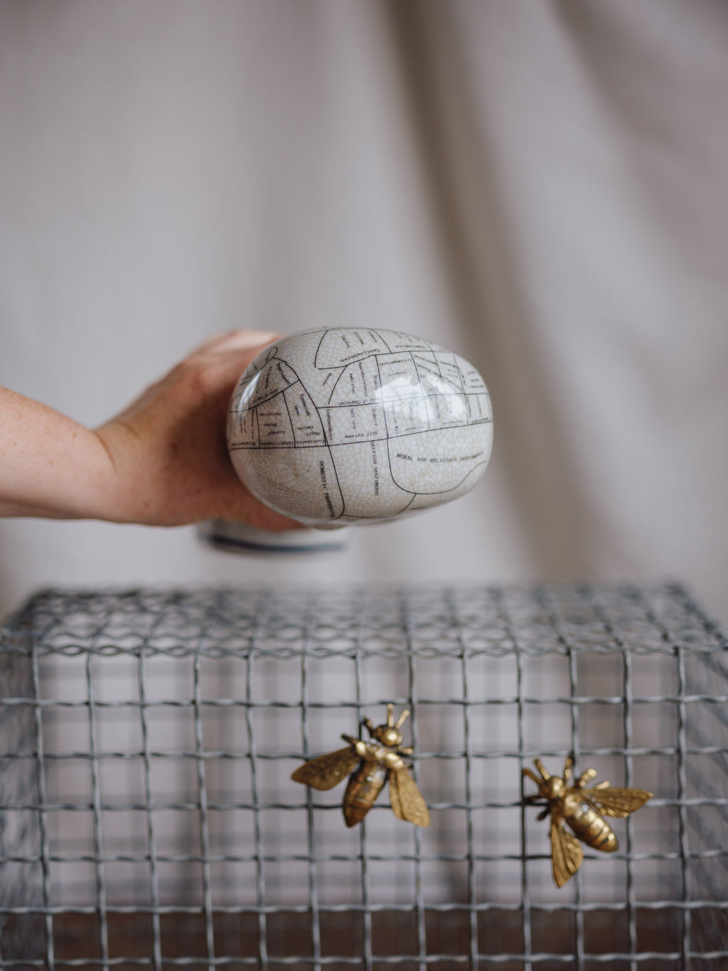 Phrenology Head Medium