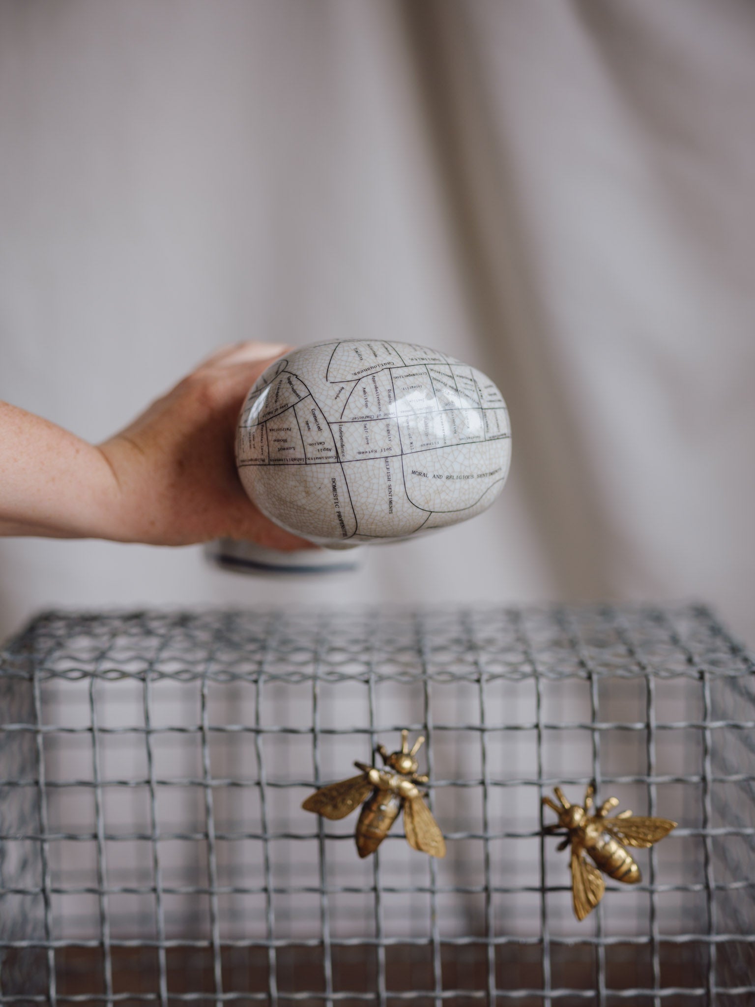 Phrenology Head Medium