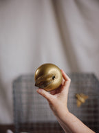 Vintage Brass Apple