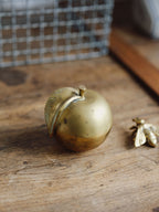 Vintage Brass Apple