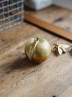 Vintage Brass Apple