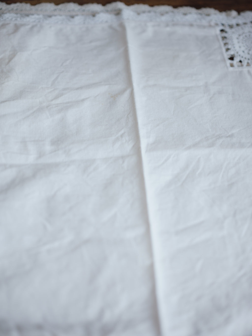 Linen Napkins Set of Six with Crochet Edging