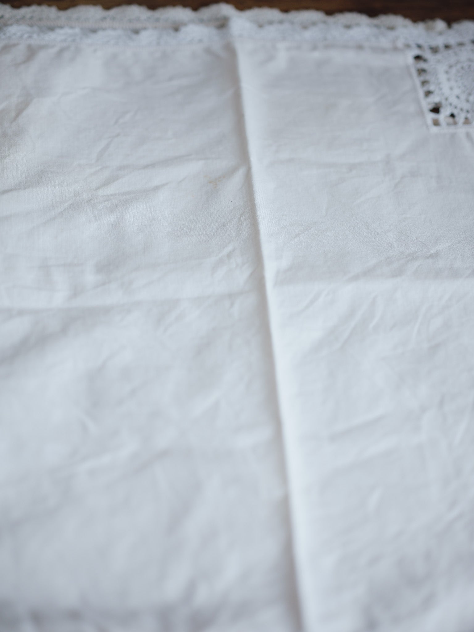 Linen Napkins Set of Six with Crochet Edging