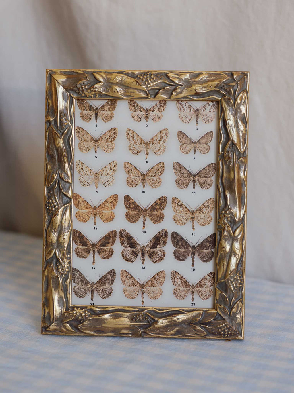 Vintage Gold Leaf & Seed Pod Photo Frame