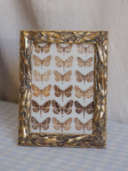 Vintage Gold Leaf & Seed Pod Photo Frame