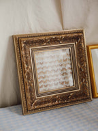 Framed Vintage Natural History Print: Moths (Ornate Silver & Gold Frame)