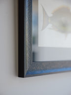 Framed Natural History Print: The Parrot Fish by Mark Catesby