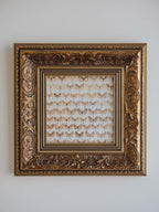 Framed Vintage Natural History Print: Moths (Ornate Silver & Gold Frame)