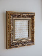 Framed Vintage Natural History Print: Moths (Ornate Silver & Gold Frame)