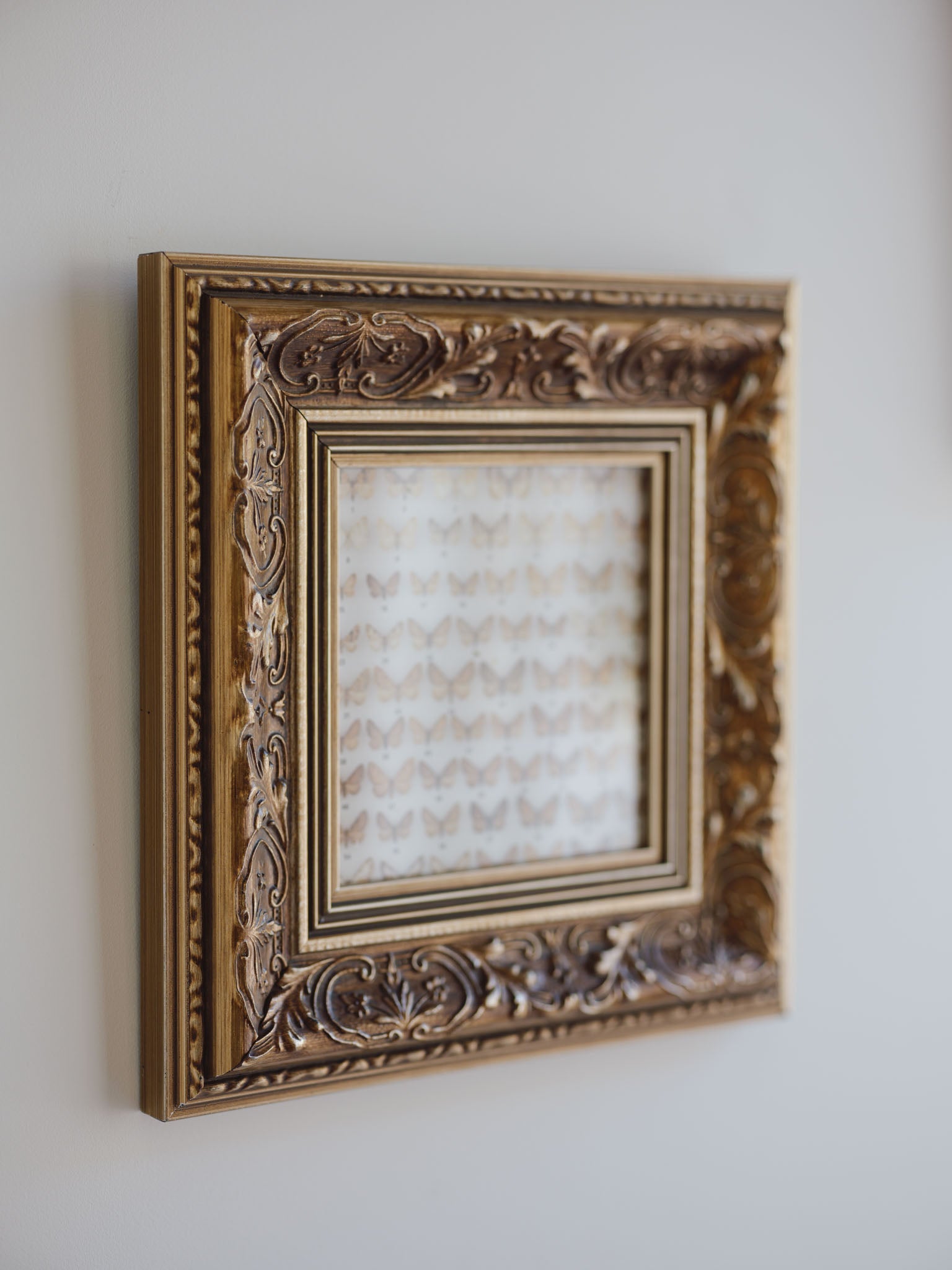 Framed Vintage Natural History Print: Moths (Ornate Silver & Gold Frame)